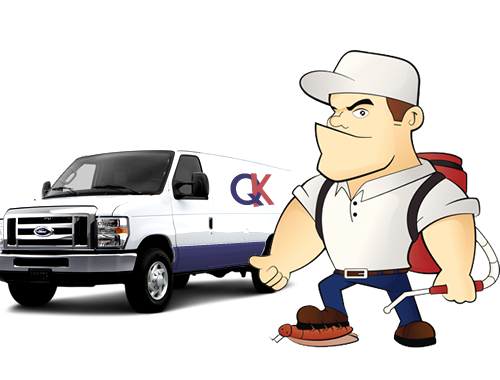 FUMIGACIONES DE PLAGAS, CUCARACHAS, CHINCHES DE CAMA, RATONES