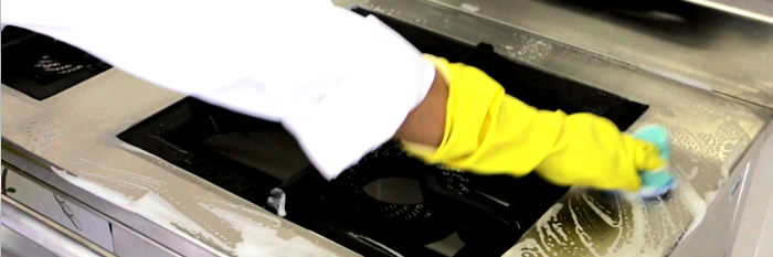 FUMIGACIONES DE PLAGAS, CUCARACHAS, CHINCHES DE CAMA, RATONES