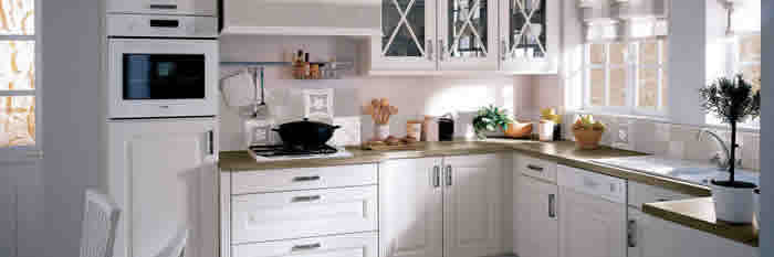 FUMIGACIONES DE PLAGAS, CUCARACHAS, CHINCHES DE CAMA, RATONES