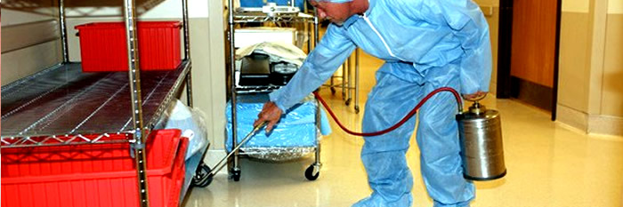 FUMIGACIONES DE PLAGAS, CUCARACHAS, CHINCHES DE CAMA, RATONES