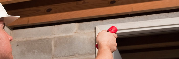 FUMIGACIONES DE PLAGAS, CUCARACHAS, CHINCHES DE CAMA, RATONES